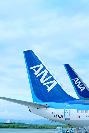 ANA機の尾翼