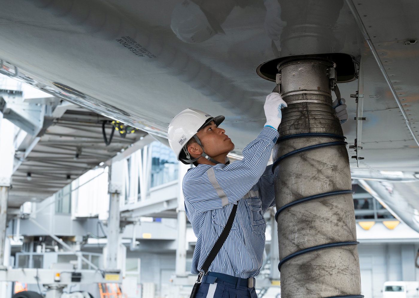 【alt入ります】