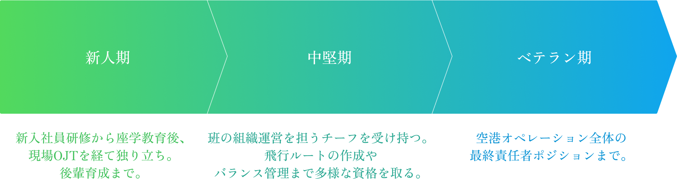 キャリアステップイメージ