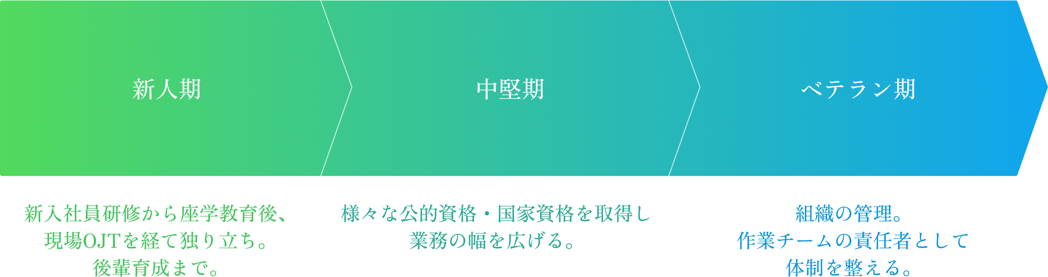 キャリアステップイメージ
